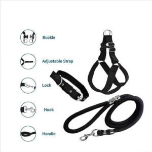 Adjustable Fit for All Sizes
