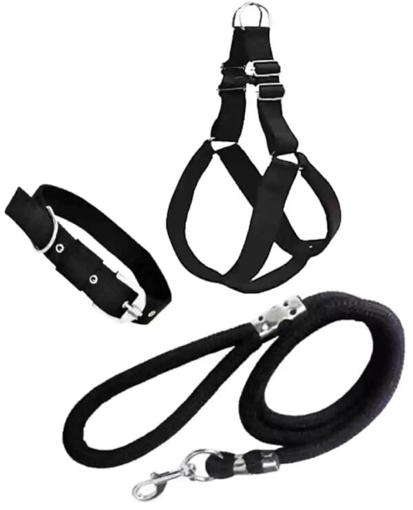 SellerBazaar's Durable Materials Dog Leash Set