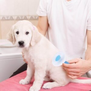 Promotes Healthy Coat