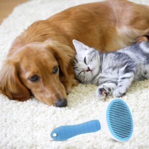 User-Friendly Cleaning Process