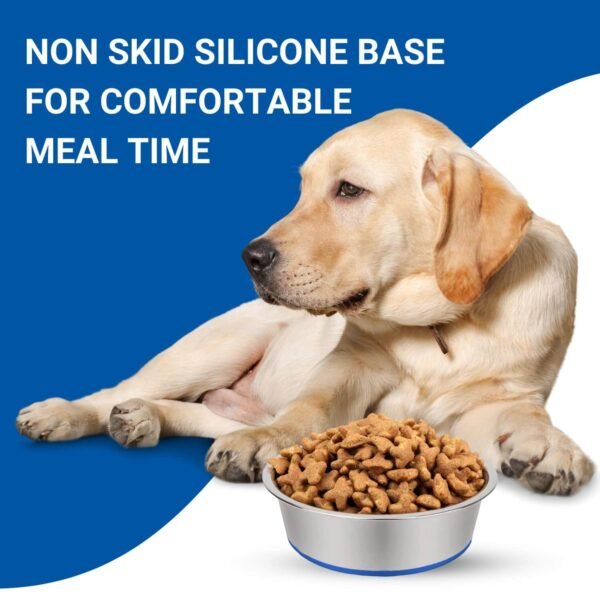 Non-Skid Rubber Base
