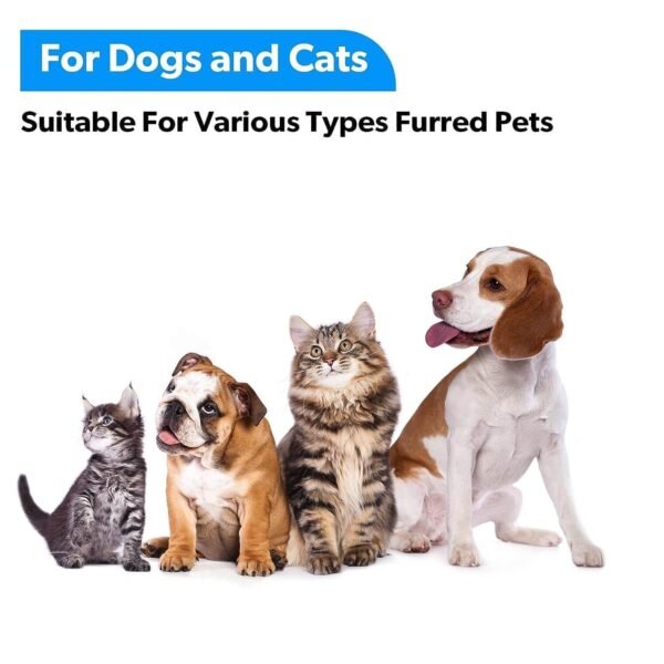 Versatile for All Pet Sizes