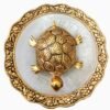 Symbol of Good Luck and Prosperity