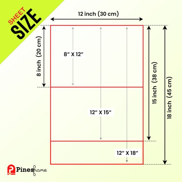 Available in Multiple Sizes